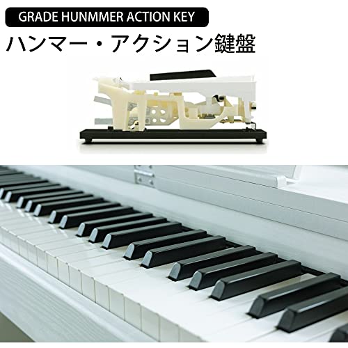 カリーナ Carina 電子ピアノ 88鍵盤 ハンマーアクション鍵盤 SR0088CLS290ZE0088LF0088LUP0088 の商品画像 2