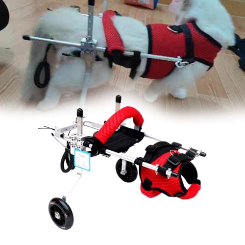 Pet Wheelchair for Small Cats, Lightweight Adjustable Hind Leg Rehabilitation Cart, Aluminum Mobility Aid for Paralysis, Spinal Injury, Weak Legs & Post-Operative(12 Months and Above)