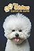 Mon Chien Carnet de santé: Bichon à poil frisé | 109 pages 15cm x 23cm A5 | Cahier à Remplir | Vaccinations | Suivi Médical | Visites Vétérinaires | ... | Contacts | Pour les amoureux des chiens