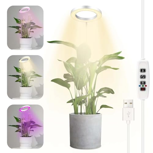 Auauraintt Lámpara De Planta Con 72 Ledes