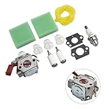 MoSundi Kit carburateur Homelite B25C BC2500R D725CD D825SB F2020 F3040 F3050 Pièce de rechange 984534001 pour modèles UT 20768 UT 15182 UT 15200