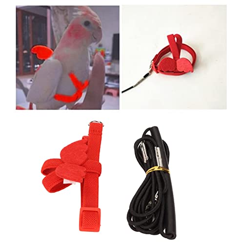 Arnês para Pássaros de Estimação, Leve, Voador, Corda de Tração, para Alexandrina, Scarlet Keck, Min