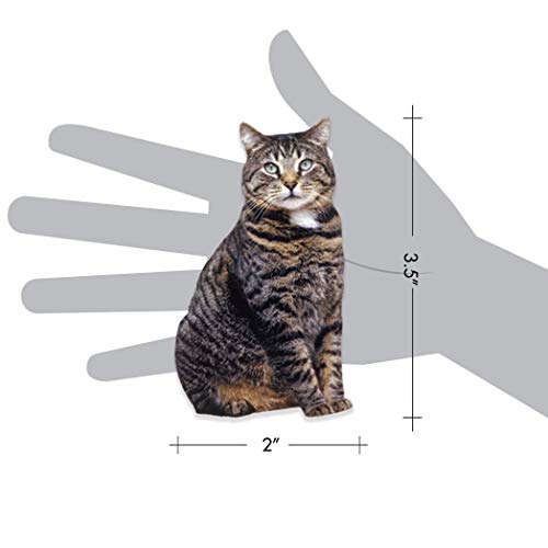 Imán decorativo gato Brown Tabby 3.5"x2" miniatura 2