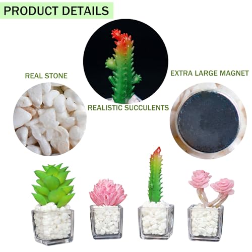 Imanes Decorativos de Plantas Suculentas MIUPOO Set de 4 miniatura 3