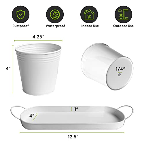 ZESTIGREENS Herb Pot Planter Set with Tray for Indoor Garden or Outdoor Use, White Metal Succulent Potted Planters for Kitchen Windowsill