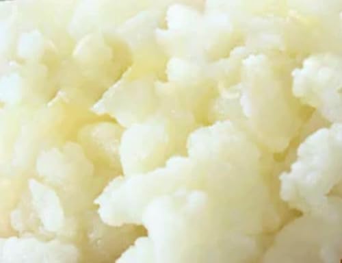 Grani di Kefir di Latte Probiotico Vivo (1 cucchiaino)