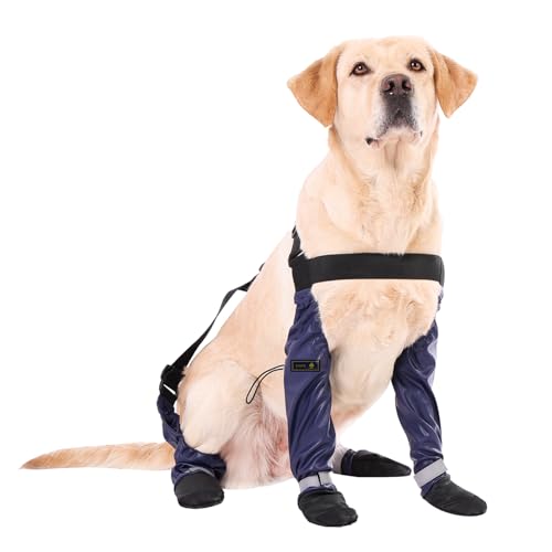 yucca Spu[c p ȒP ybgTXy_[u[cMX ~ߌp\bNX ėp\Ȗhpu[eB JAAA瑫ی삵܂