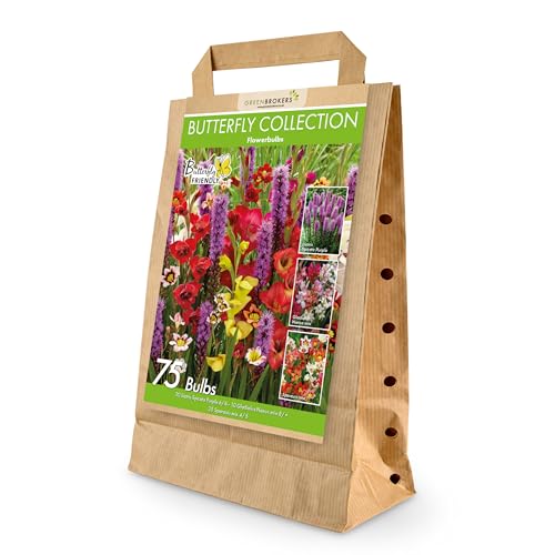 75 Bee & Butterfly Summer Bulb Collection | Mixed Bulb Varieties | Eco Packaging | Plant Now Ready to Bloom in Summer