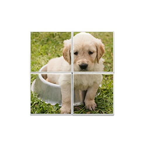 Carreaux céramique mignon chiot labrador, le cadeau idéal