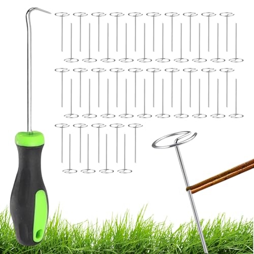 pt@ubNXe[N - G ^yXpCN 50 { |ANX}XAAAOXy[XAŐAtFXA悯AŐp15cmK[flCB