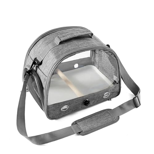 nhsP[Wt|[^uO̒̃LApLGbgpuo[hꂢɑ|₷LX