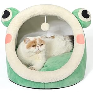Jiupety Cute Cat Bed, Indoor Lovely Velvet Igloo for Cat and Small Dog, Warm Cave Sleeping Nest Bed for Puppy and Kitten, Green Frog, L
