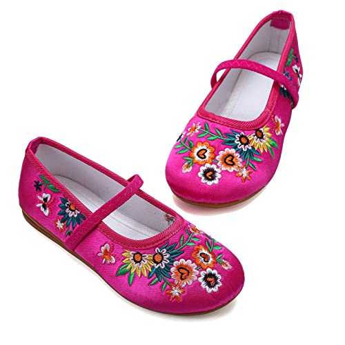 Encanto Costume Shoes Mary-Jane Flats Shoes Round Toe Low Wedge Ballet Flats Floral Embroidery Shoes for Girls Halloween Cosplay Dress Up