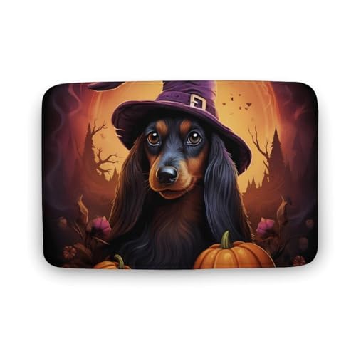 Cute Witch Funny Dachshunds Halloween Coral Velvet Rugs Non-Slip Bathroom Rugs Soft Kitchen Rug Floor Carpet for Home Decor 19.7