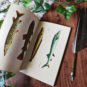 Amazon.co.jp: +..。゜+ 海の生き物たちの図鑑 ドイツの