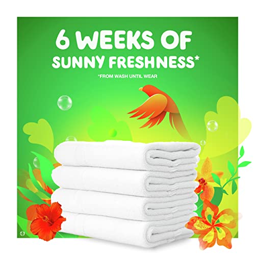 Image of Gain flings! Laundry Detergent Soap Pods Plus Aroma Boost, Island Fresh Scent, HE Compatible, 81 Count (Packaging May Vary)