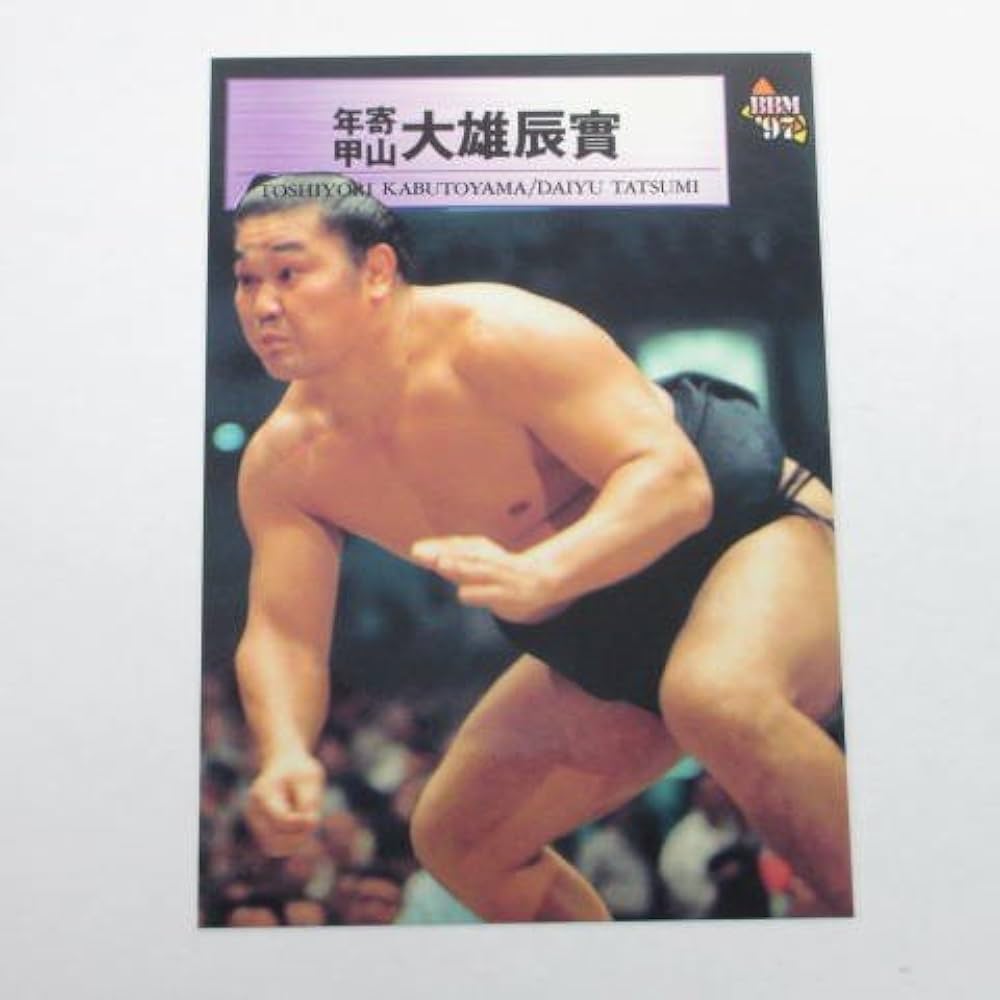 Amazon.co.jp: BBM1997大相撲カード□レギュラーカード□087/年寄/甲山
