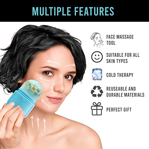 Image of MELLO Ice Roller for Face, Ice Roller for Face Massager, Face Ice Roller to Enhance Skin Glow, Shrink & Tighten Pores, Reusable Facial Ice Roller(Pink,Blue)