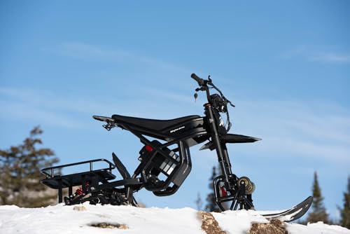 Front Ski Detail