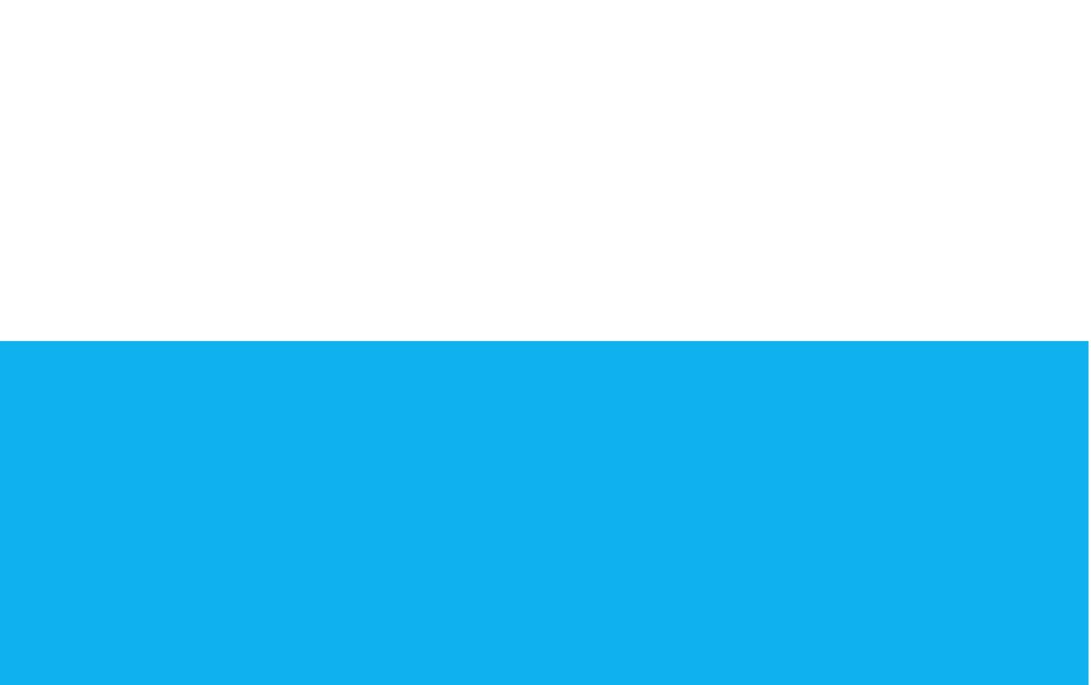 Drapeau Międzyrzec Podlaski grand format pour mât extérieur