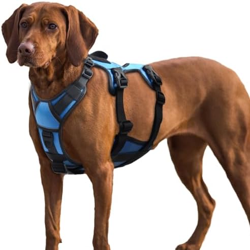 AUROTH Dog Harness, Escape Proof Dog Harness for Large Dogs, No Pull Dog Harness with Lift Handle, Soft Padded Reflective Adjustable Dog Vest Harness, Large Dog Harness for Walking Hiking Training