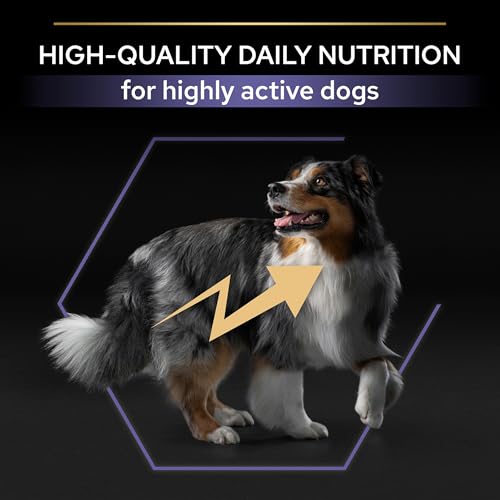 Pro Plan All Size Adult Hund Performance, Hundefutter trocken, reich an Huhn, 1er Pack (1 x 14 kg)