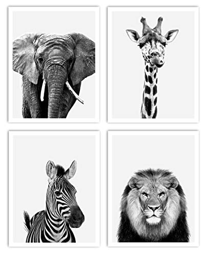 4 Piece Safari Zoo Animal Nursery Set, Neutral Wall Decor, Kids Bedroom, Children's Room Animal Print Collage 4 Piece Set, 11 x 14 inches each, Ready to Frame (Black and White)