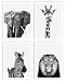 4 Piece Safari Zoo Animal Nursery Set - Elephant, Lion, Zebra & Giraffe Nursery Prints - Neutral Wall Decor, Baby Shower Gift & Kids Bedroom Animal Wall Decor 4 Piece Set, 11 x 14 inches each Unframed