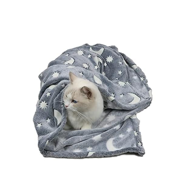 Star Moon Dog Throw Blanket Glow in The Dark, Pet Throw Blankets Luminous, Soft Fleece Plush Glow Throw Blankets for Small Dogs Puppy Cats Grey L Star Moon Dog Throw Blanket Glow in The Dark, Pet Throw Blankets Luminous, Soft Fleece Plush Glow Throw Blankets for Small Dogs Puppy Cats Grey L