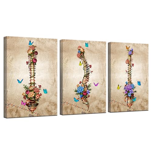 iHAPPYWALL 3 Pieces Vintage Human Spine Wall Art Medical Anatomy Back Backbone Flower Skeleton Human Spinal Cord Picture Artwork for Doctor Office Clinic Decor