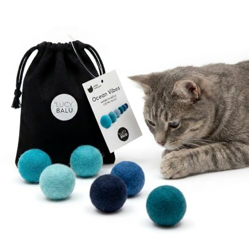 LucyBalu Ocean Vibes Filzbälle für Katzen I Katzenspielzeug Ball aus 100% Schafwolle I 6 handgefilzte Spielbälle im Baumwollbeutel I artgerechtes Naturspielzeug aus Nepal