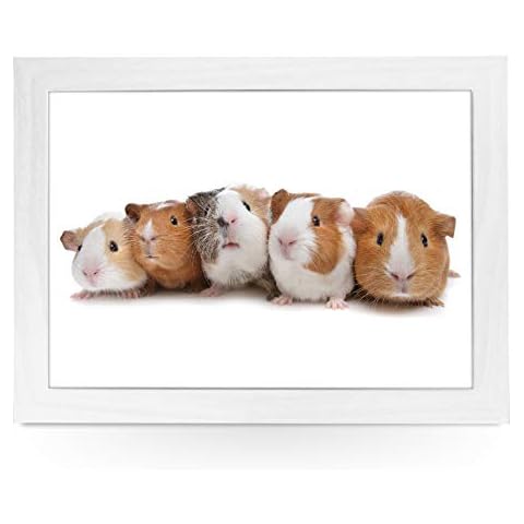 Portable Lap Desk Tray (Guinea Pigs) Handmade Wooden Frame, Beanbag Cushioned Bottom | Computers, Laptops, Meals, Food | L0141 White Cover
