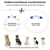 Nepfaivy Leuchthalsband Hund USB Aufladbar - Wasserdichtes Hundehalsband Leuchtend mit 3 Beleuchtungsmodi, Längenverstellbareres LED Halsband für Kleine, Mittlere und Große Hunde (Blau)