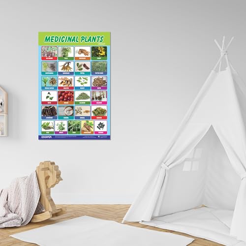 Image of ESCAPER Medicinal Plants Educational Charts for Kids, Charts for Kids Learning (11.5 x 17.5 inches), Kids Study Material, Kids Learning Books, Educational Posters