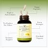 Herbal Roots Organic St Johns Wort Capsules | 450 mg per Serving | No Binders or Fillers Non GMO | 60 Vegan Capsules