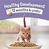 Purina Kitten Chow Dry Cat Food #1