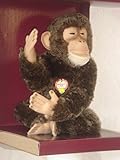 Steiff