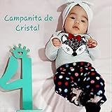 Alcides Amarilla