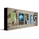 Personal-Prints BIRD WATCHING or Birdwatching Personalized Name Art Décor Gift | Customized Name Art Present for a Birdwatcher (6"x18" Stretched Canvas)