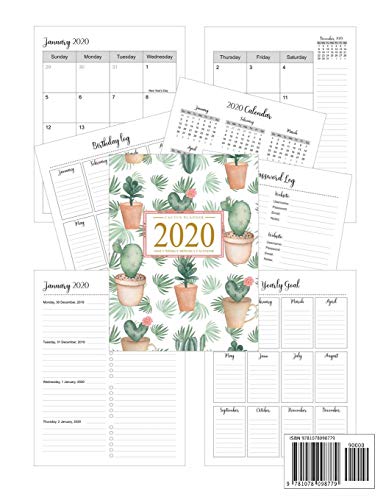 Cactus Planner 2020: Daily Weekly Monthly Calendar January 2020 through December 2020 To Do List Aca