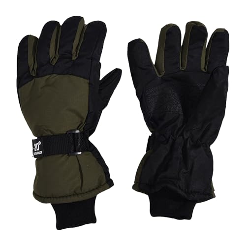 XL[O[u n LbY hۉ j̎q ̎q XL[  Ɍ ~ WjA H g ϖՐ hf ₷ GΉ h 5{w^Cv ʊw Ⴉ V ] AEghA(AG,24)