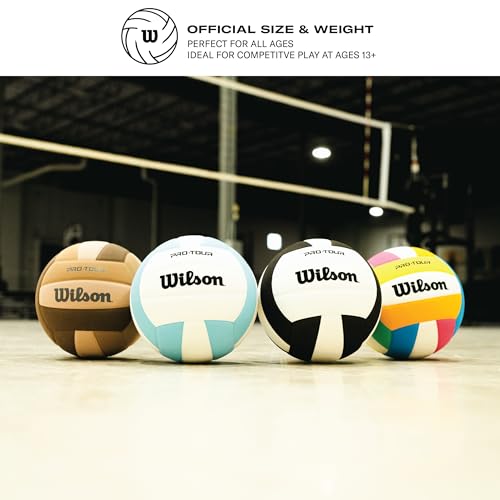 Image of Wilson Pro Tour Indoor
