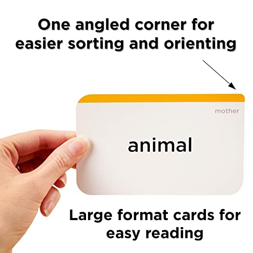 Think Tank Scholar 200+ First And Second Grade Sight Words Flash Cards For Kids Ages 6 To 8 #TOP4