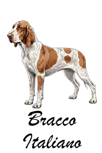  Bracco Italiano Notebook