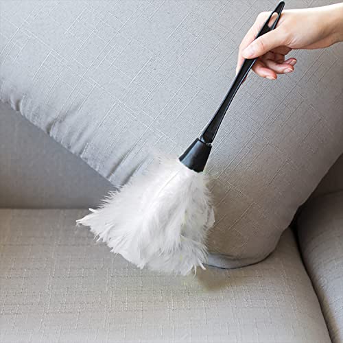 Image of Turkey Feather Dusters for Cleaning Home Blinds Kitchen car Office, Eco-Friendly Reusable (2 pcs White)