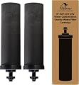Filteroo® 8” Carbon Block Gravity Water Filter Cartridge | Replacement for Filteroo® Superoo | NSF/ANSI Certified | Ideal for Rain & City Water | Pack of 2