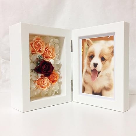 Amazon 写真立て 花 ギフト プレゼント 結婚祝い 誕生日 プリザーブドフラワーのフォトフレームオレンジ プリザーブドフラワー オンライン通販 Amazon 写真立て 花 ギフト プレゼント 結婚祝い 誕生日 プリザーブドフラワーのフォトフレームオレンジ プリザーブドフラワー オンライン通販