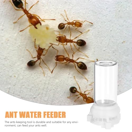 Garneck Mini Ameisentränke Und Futterspender Set – 2 Stück 10 Ml Transparente Kunststoff Ameisenfarm Zubehör Für Optimale Wasser- Und Nahrungsversorgung in Ihrem Ameisennest