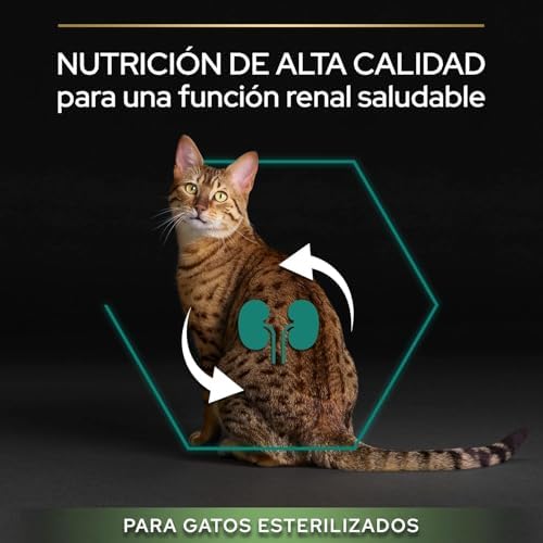 Pro Plan Sterilised Kısırlaştırılmış Kediler için Somonlu Kedi Maması, 10 Kg - Görsel 7