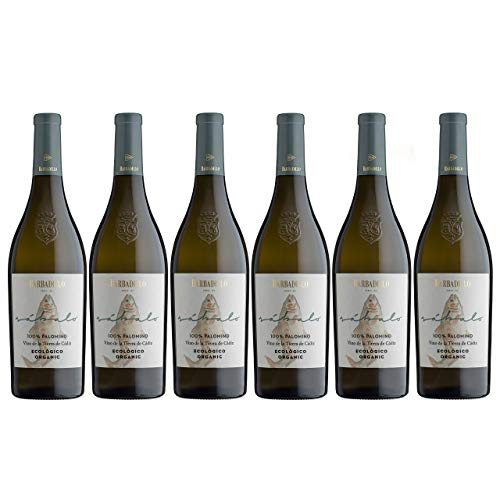 Barbadillo Sábalo | Vino Blanco Ecologico con Indicación Geográfica Protegida - Caja 6 x 75 cl